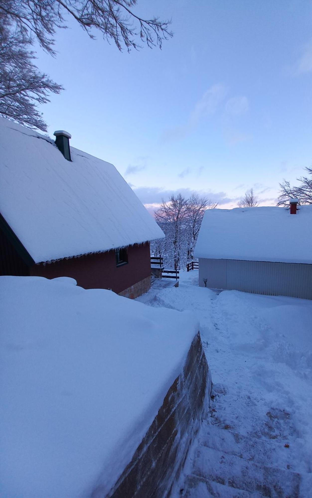 Vila Darija Žabljak Exterior foto